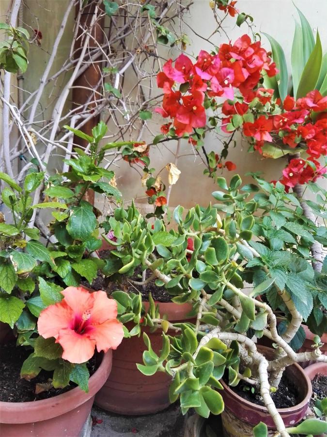 Aloha House Ortigia Villa Syracuse ภายนอก รูปภาพ